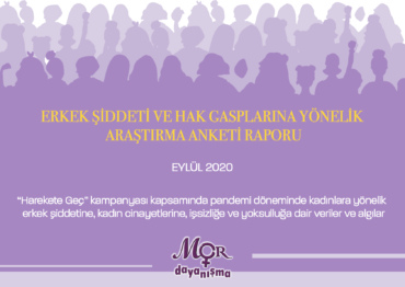 Erkek Şiddeti ve Hak Gasplarına Yönelik Araştırma Anketi Raporu - rapor kapak
