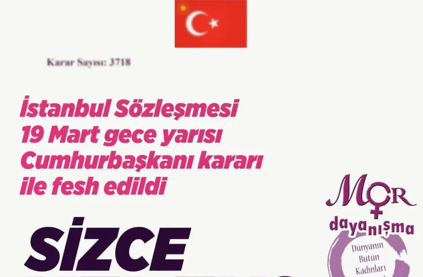 İstanbul Sözleşmesi 14