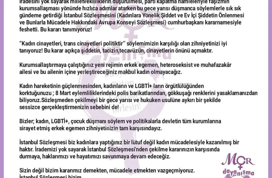 İstanbul Sözleşmesi 13