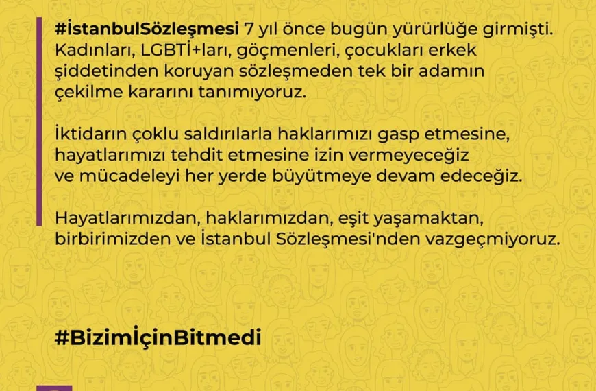 İstanbul Sözleşmesi 12