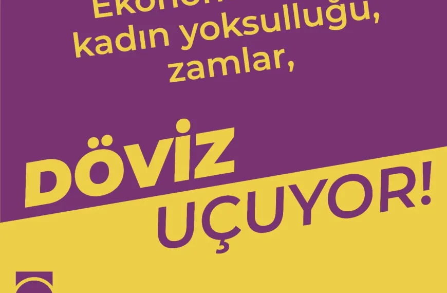 Döviz 8