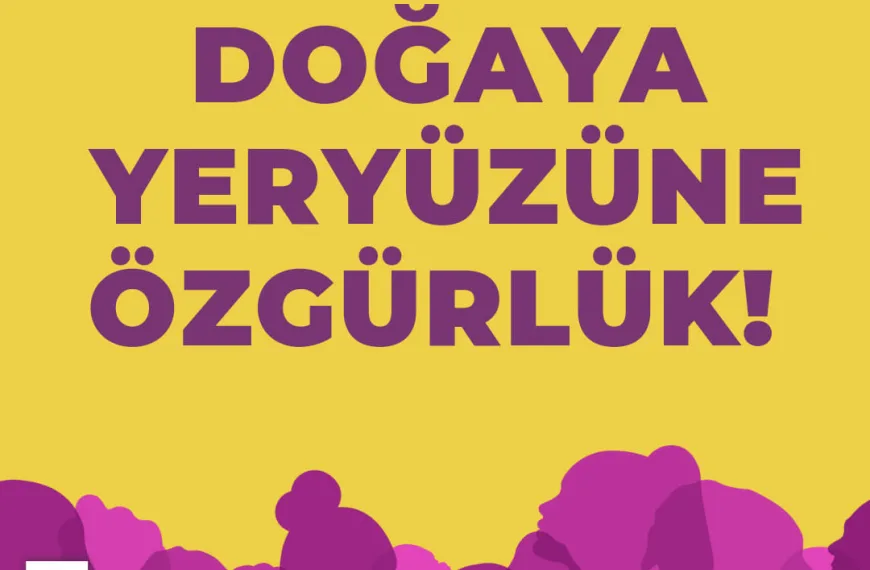Döviz 4
