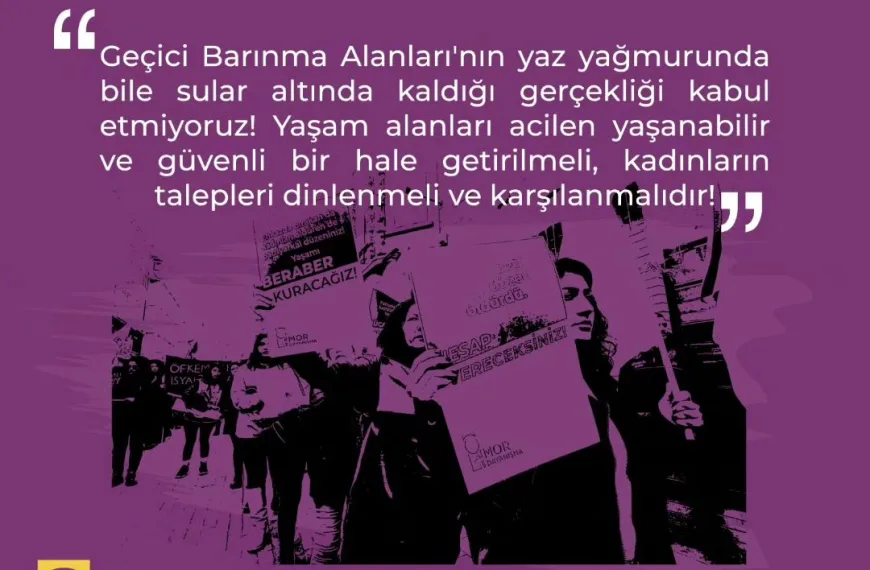 Depremin 7. Ayında 2