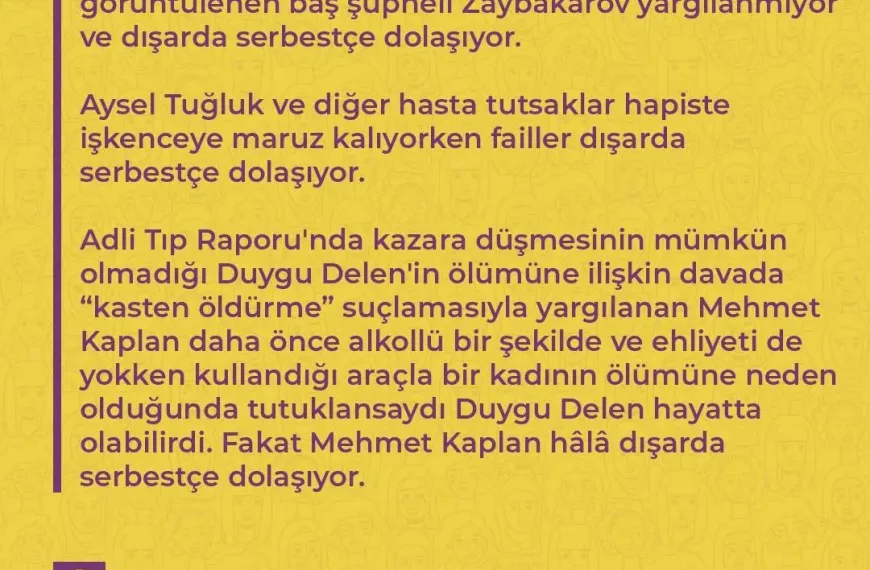 Erkek Şiddetine Karşı 2