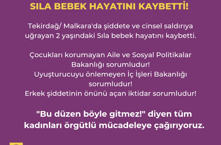 Erkek Şiddetine Karşı 12