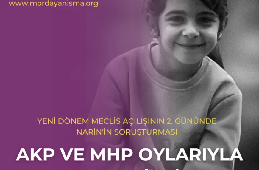 Narin Güran 2