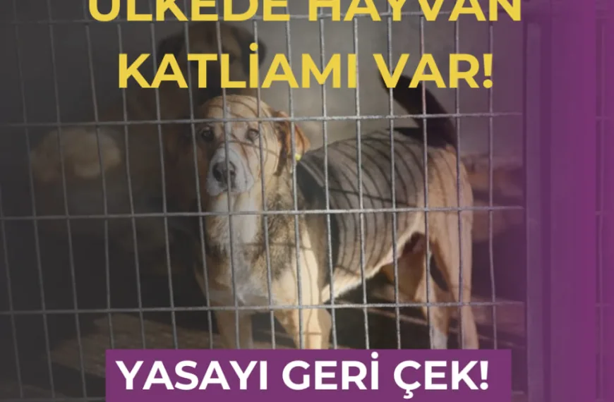 Hayvan Katliamı Yasasına Karşı 2