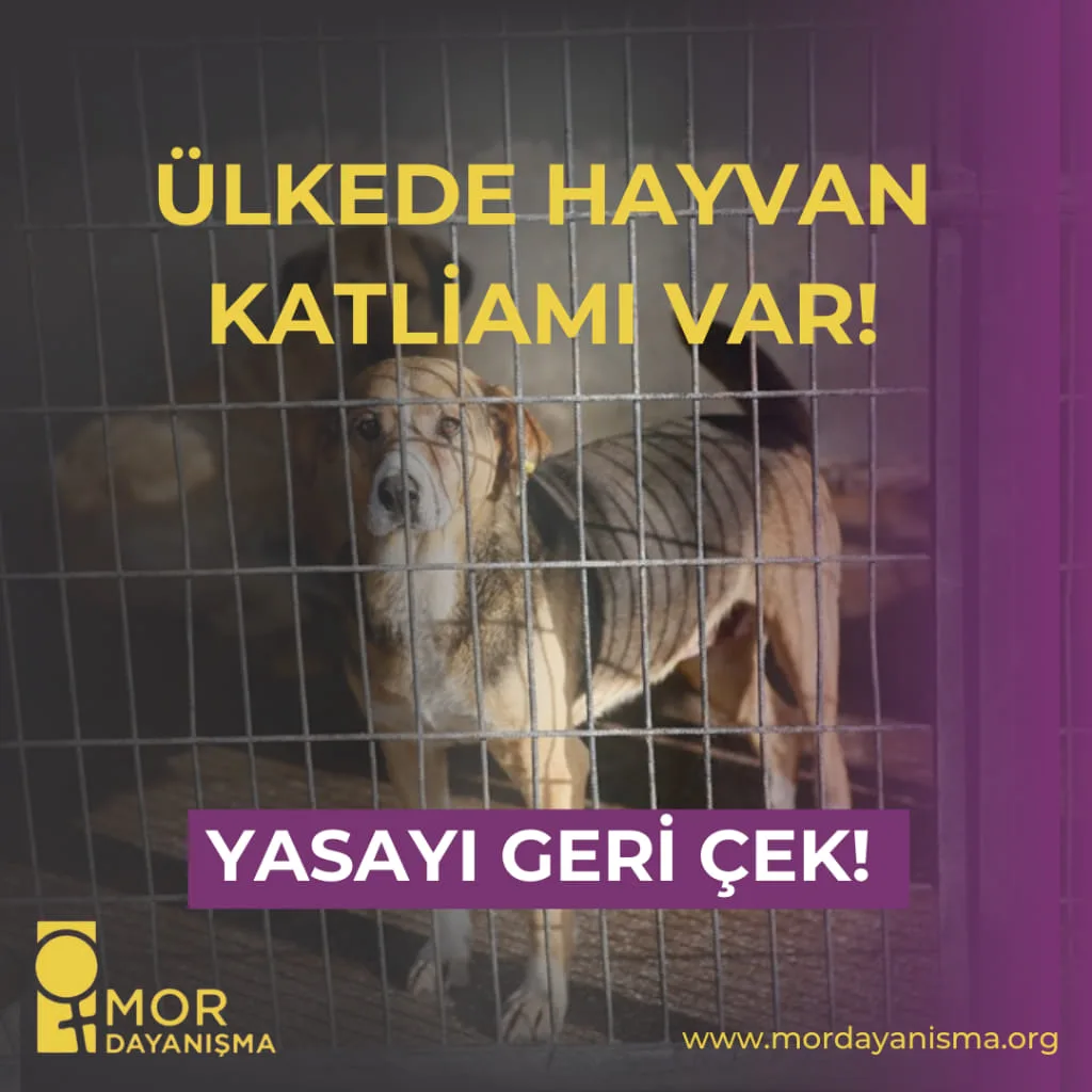 Hayvan Katliamı Yasasına Karşı 2