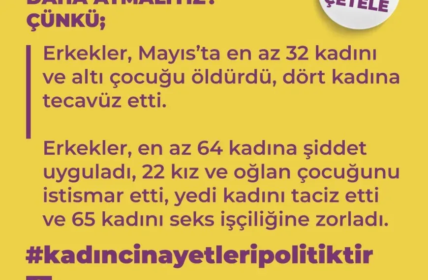 Kadın Cinayetleri Politiktir 2