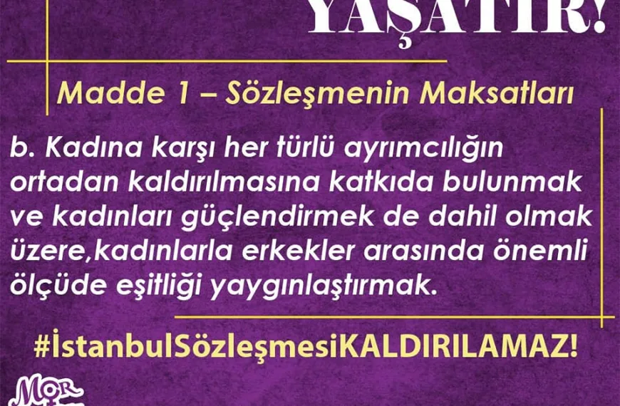 İstanbul Sözleşmesi 10