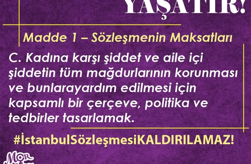 İstanbul Sözleşmesi 9