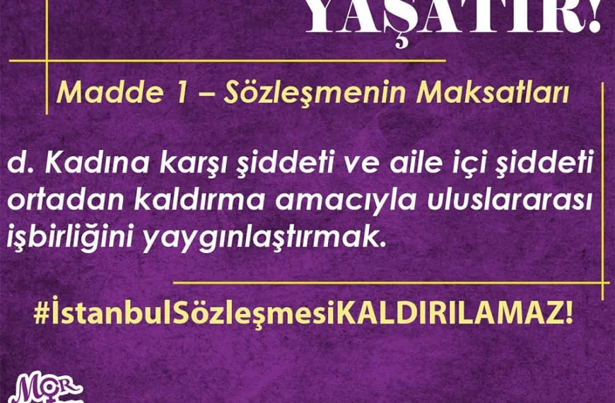 İstanbul Sözleşmesi 8
