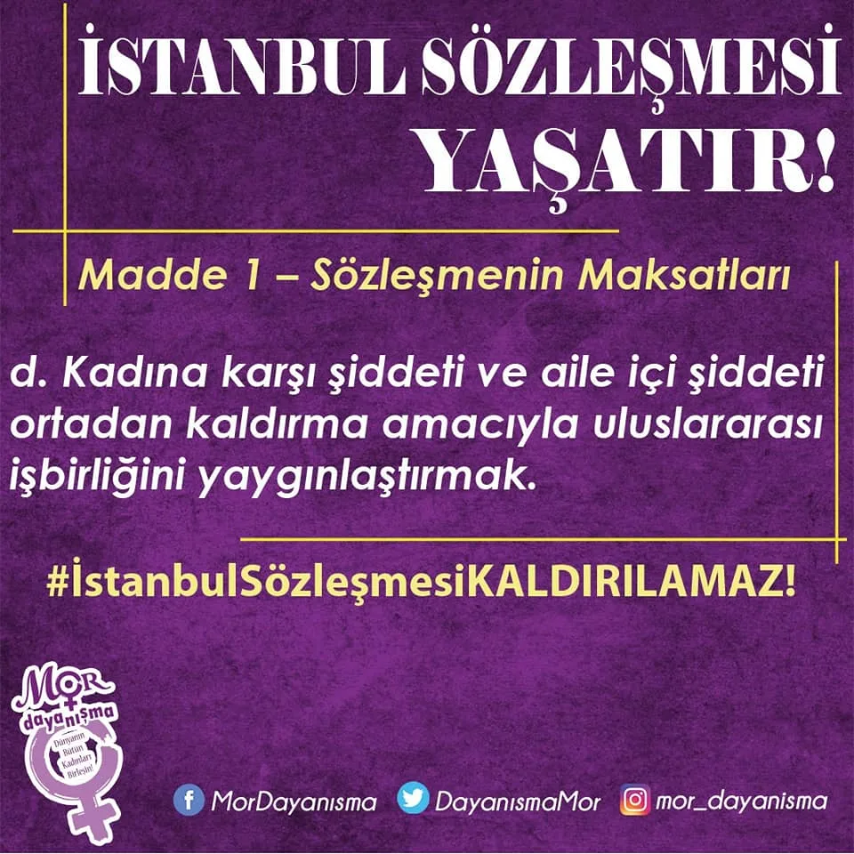 İstanbul Sözleşmesi 8