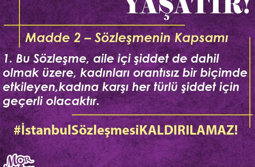 İstanbul Sözleşmesi 7