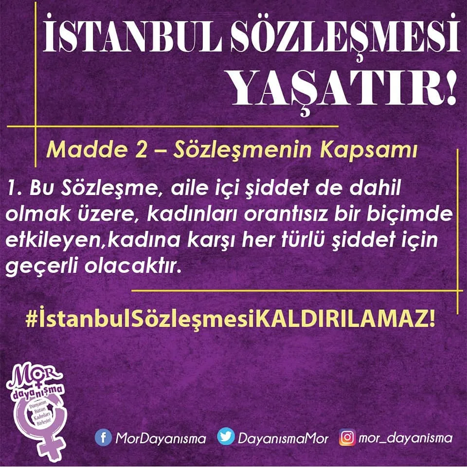 İstanbul Sözleşmesi 7