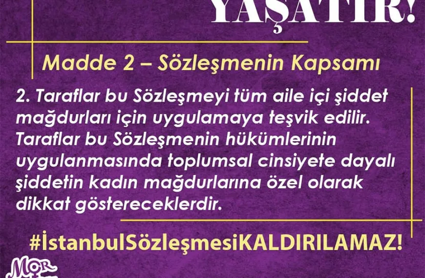 İstanbul Sözleşmesi 6