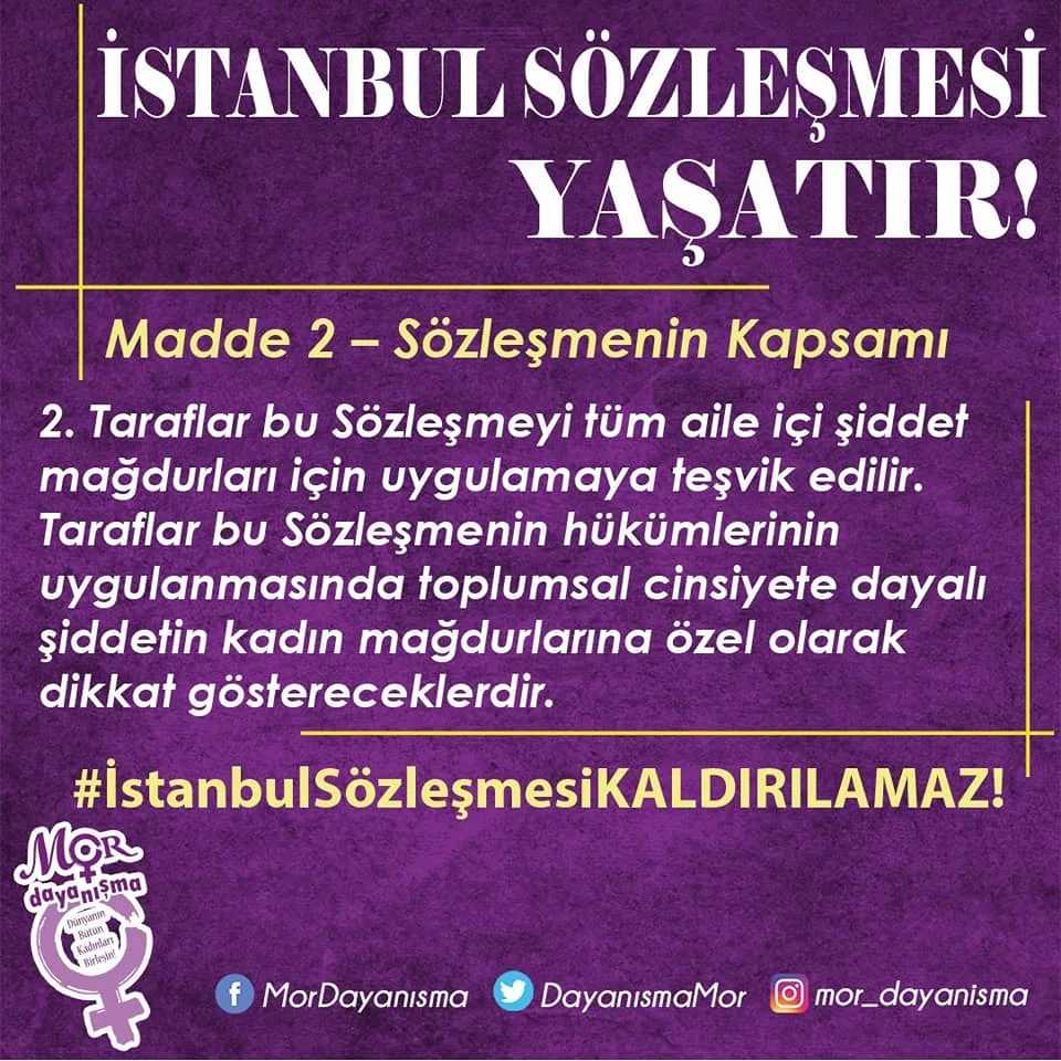 İstanbul Sözleşmesi 6