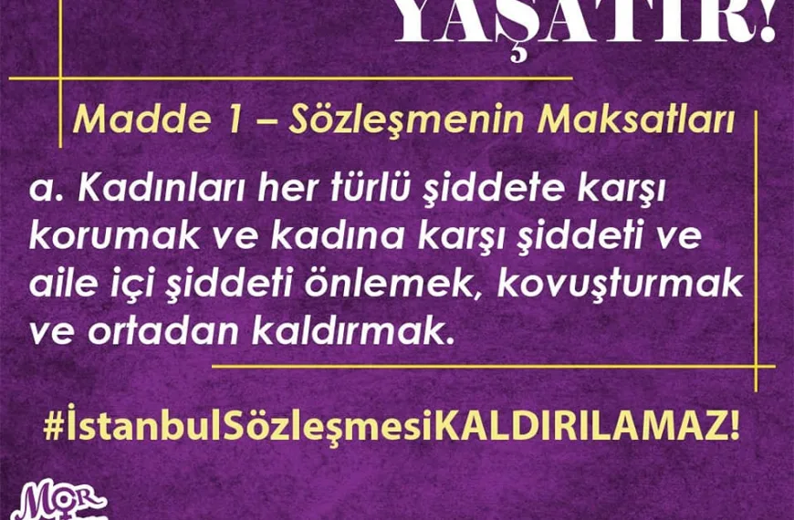 İstanbul Sözleşmesi 11