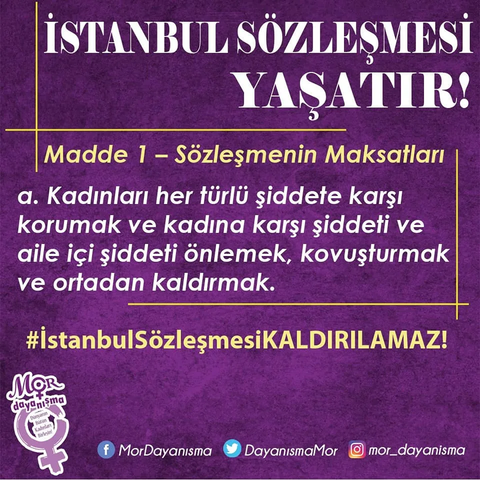 İstanbul Sözleşmesi 11