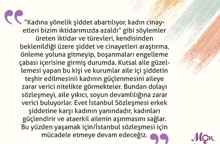 İstanbul Sözleşmesi 3