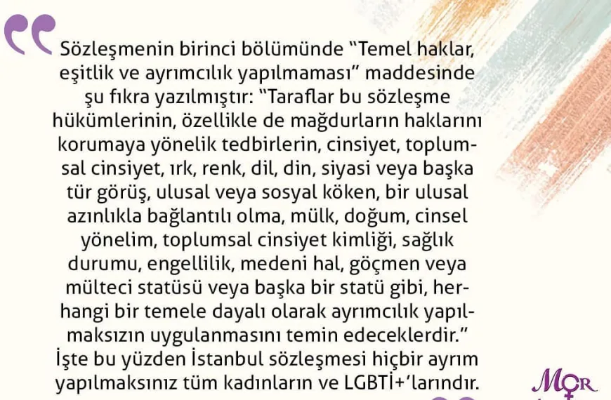 İstanbul Sözleşmesi 2