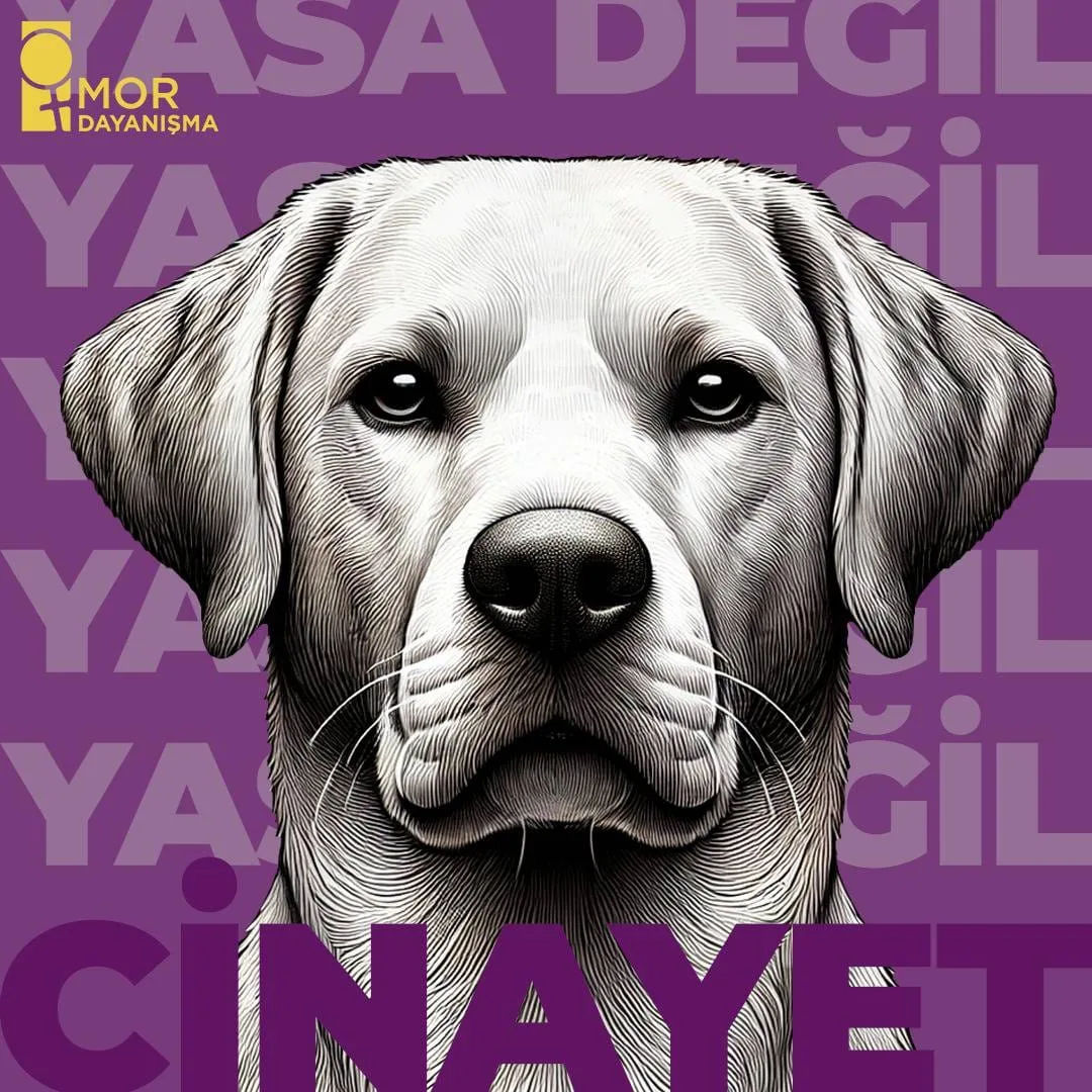 Hayvan Katliamı Yasasına Karşı - temmuz 2024