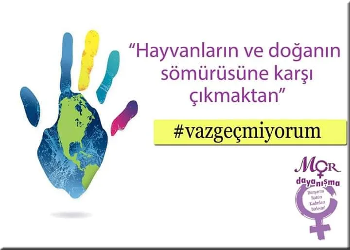 Vazgeçmiyorum 17